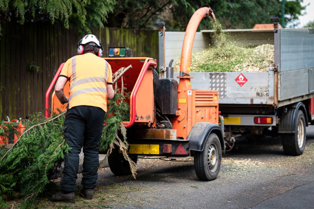 Best Lawn Grading and Leveling  in Atlantic Beach, FL